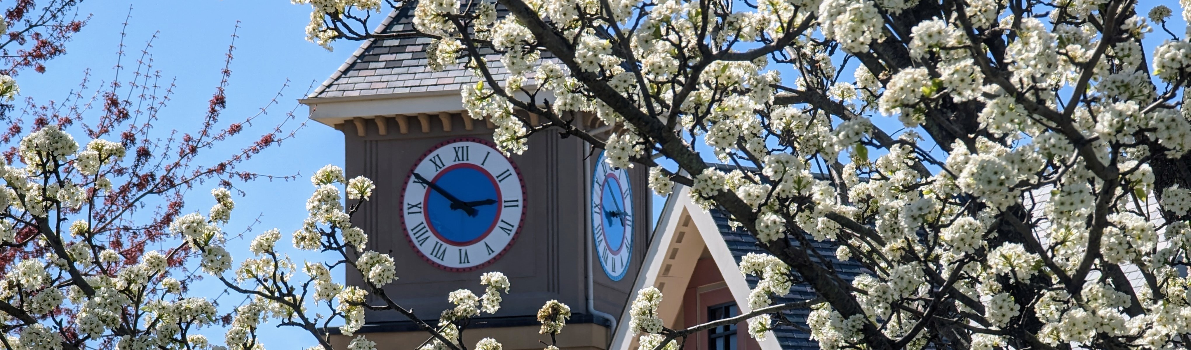 Clock-Tower-in-Flowers_Cropped